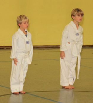  Tae-kwon-do Frelenberg